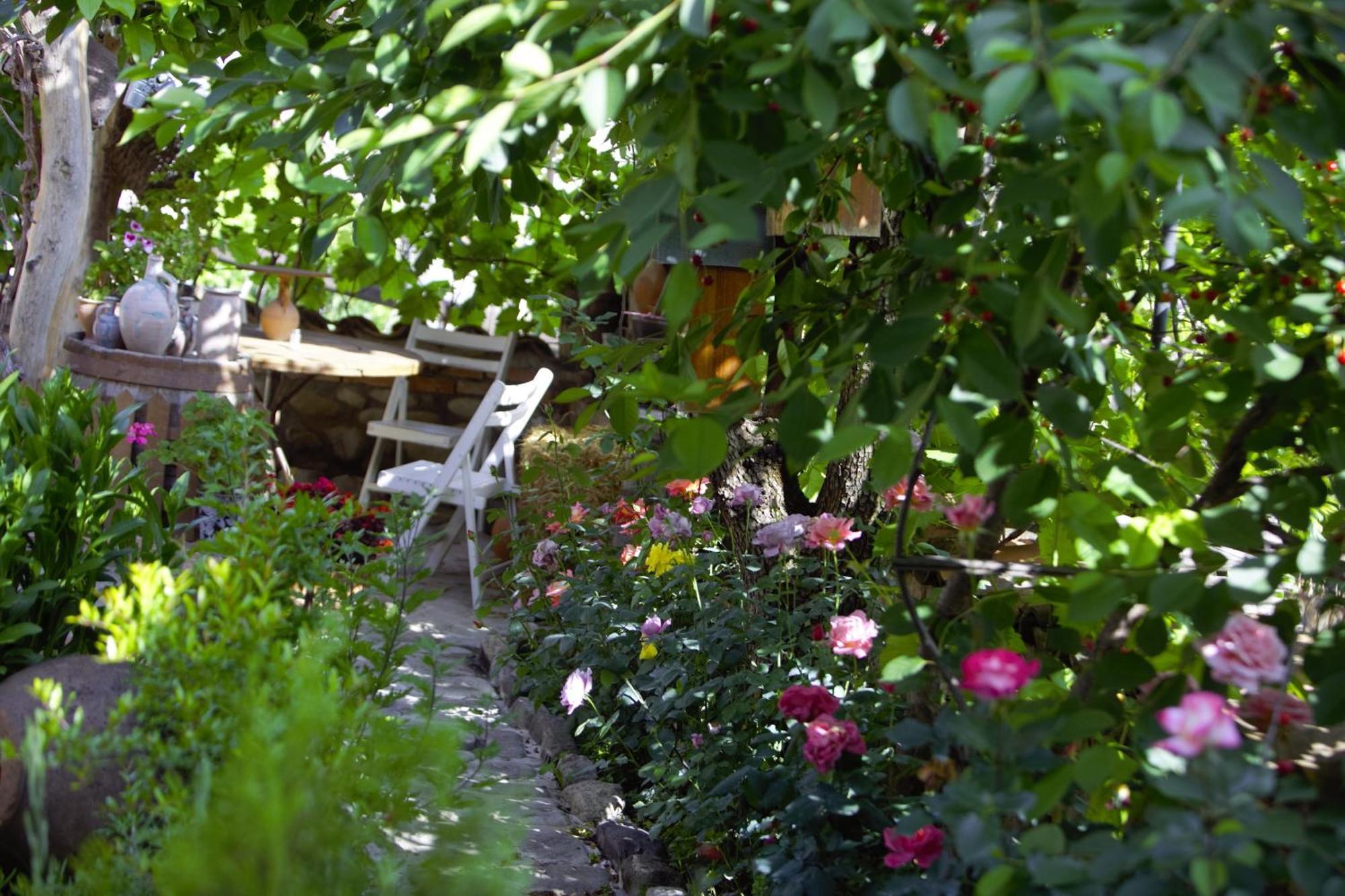 Kadori Hills Hotel Telavi Buitenkant foto